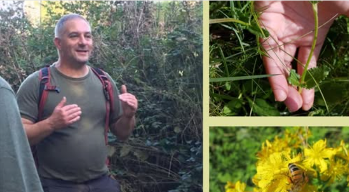 BALADE_PLANTES