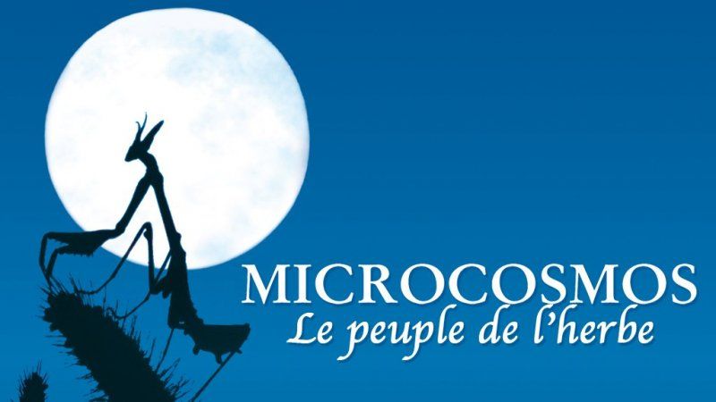 Microcosmos-sm