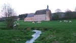 unpeudetout301 large petite