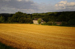MaisonCidre1