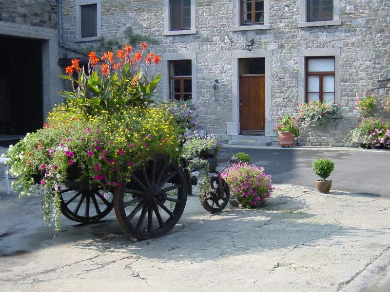 Balade-dt-seny-ferme-fleurie